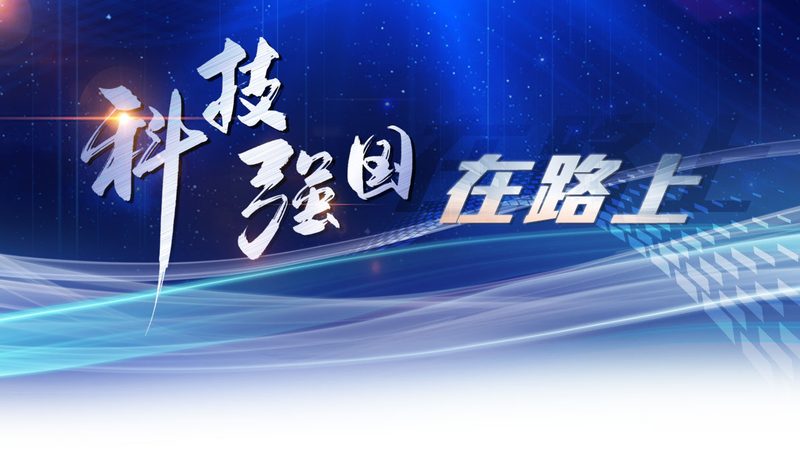 网络安全审计系统：如何合理评估成本与价值**